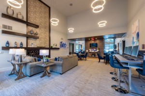 One Bedroom Apartments for Rent in Houston, TX - Clubhouse Couches & Cyber Cafe Areas   
